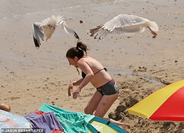 News Photo 1 - U.K. - Otta Nottathil - 267201912seagull