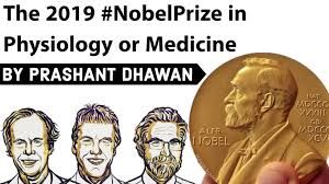 News Photo 1 - Europe - Otta Nottathil - 1010201910nobelmedicine