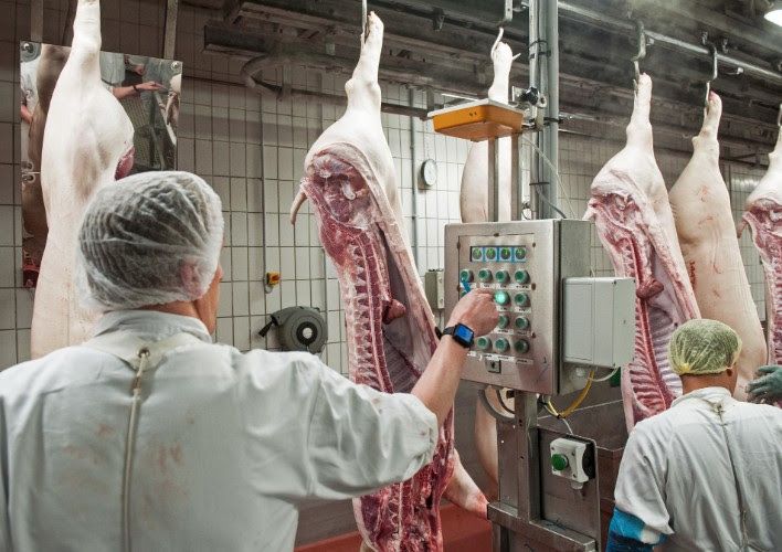News Photo 1 - Germany - Otta Nottathil - 21520203slaughter