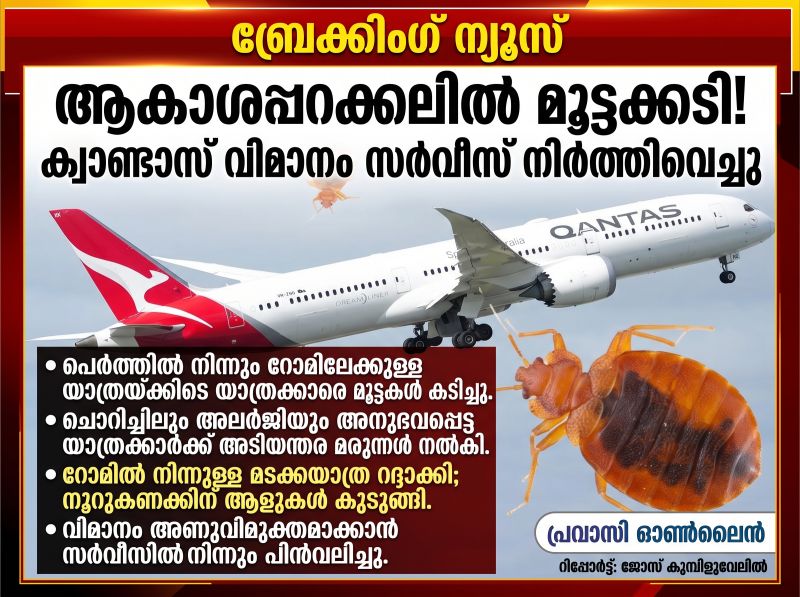 News Photo 1 - Europe - Otta Nottathil - parasites_bite_passengers_quantas_flight_halts_due_to_bedbugs_oct_13_2026